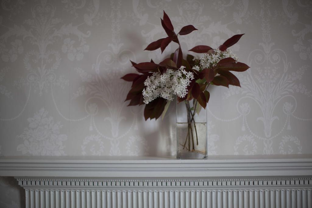 เทะเลาว์ เฮาส์ บีแอนด์บี Bed & Breakfast Wormbridge ห้อง รูปภาพ