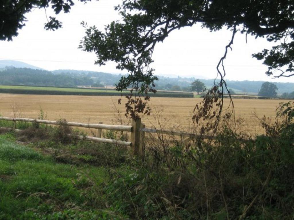 เทะเลาว์ เฮาส์ บีแอนด์บี Bed & Breakfast Wormbridge ภายนอก รูปภาพ